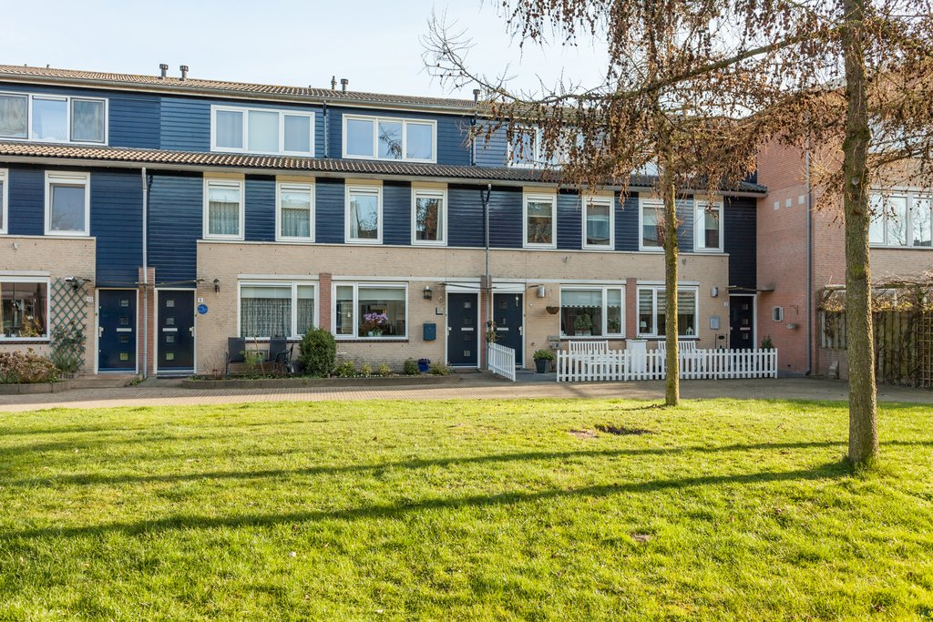 Vijfvingerkruid 6 in Nieuwland / Amersfoort, Amersfoort