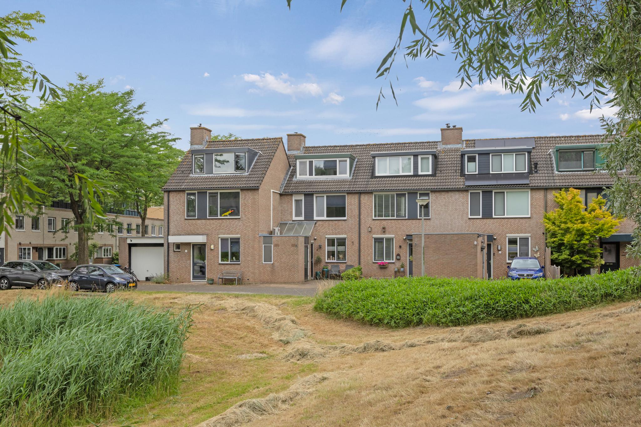Satijnvlinder 3 in Zielhorst / Amersfoort, Amersfoort